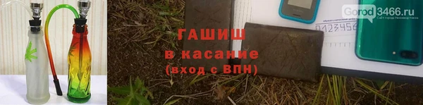 гидра Арсеньев