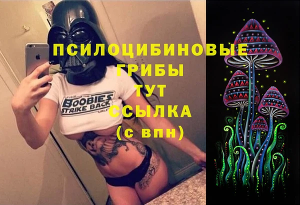 гидра Арсеньев