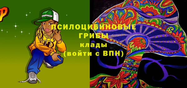 гидра Арсеньев