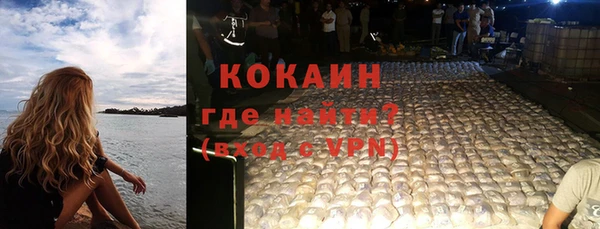 гидра Арсеньев