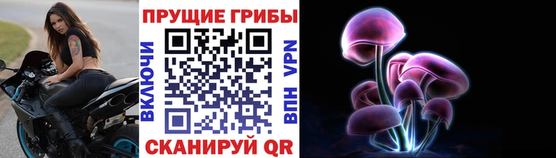 mega зеркало  Тында  Псилоцибиновые грибы GOLDEN TEACHER 
